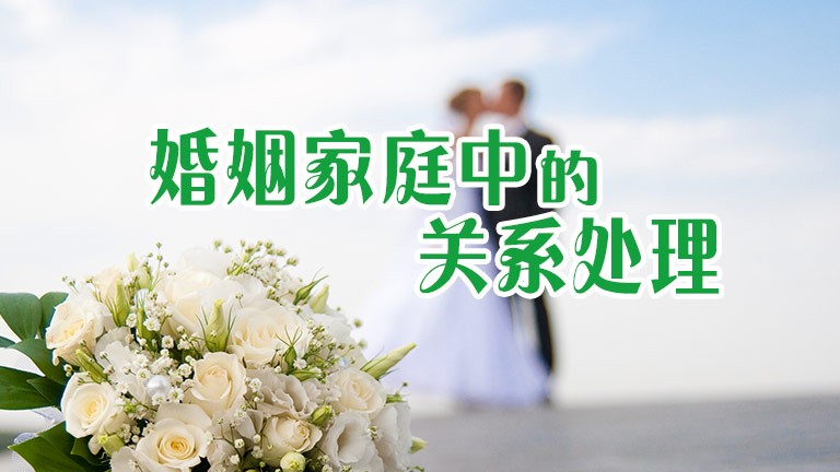 今年前七个月广东新设外资企业数量同比增长32.7%